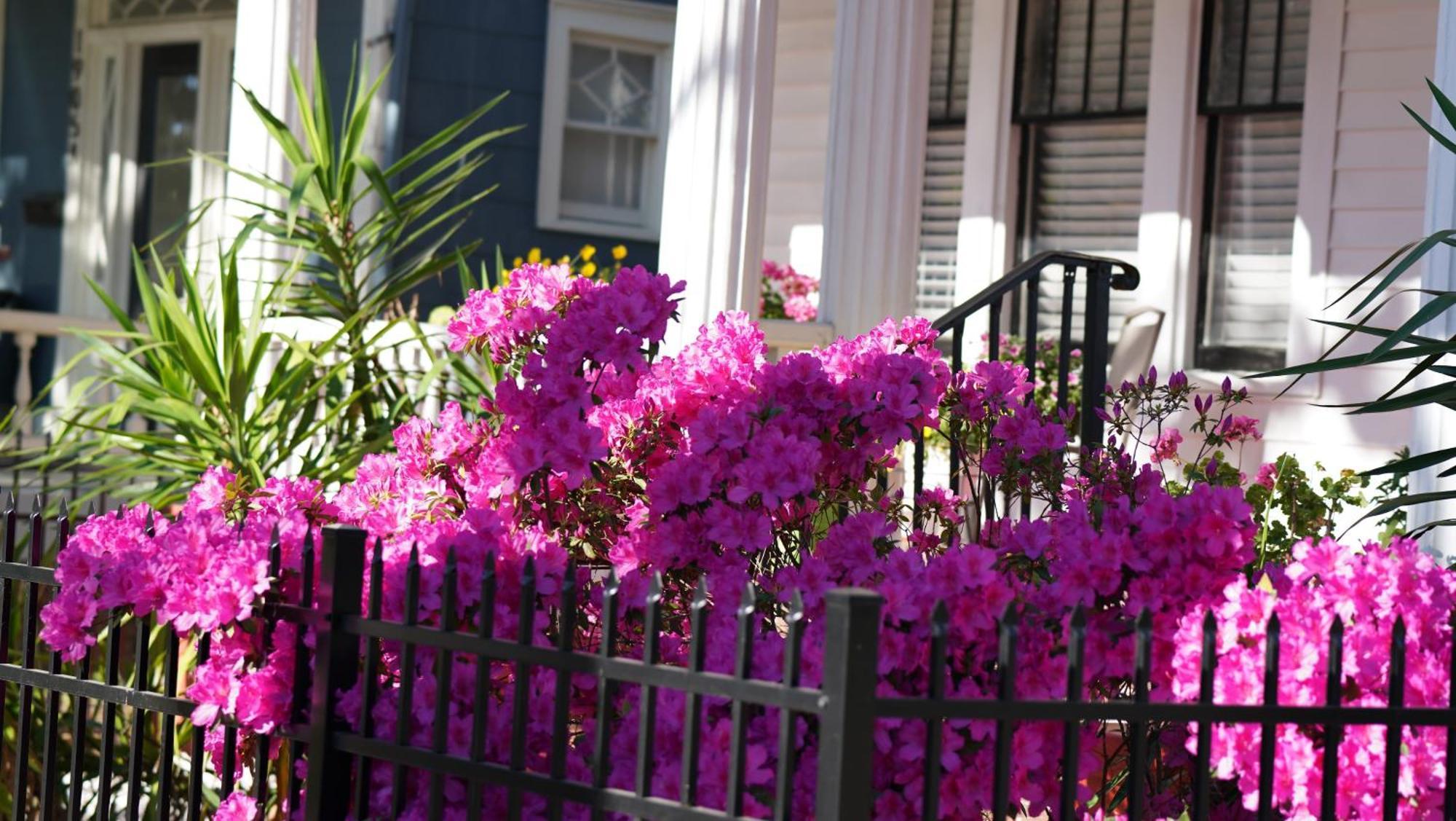 5 Bedroom Downtown Savannah Ga Экстерьер фото